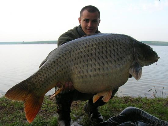 Din tainele campionilor - Bogdan Dragan